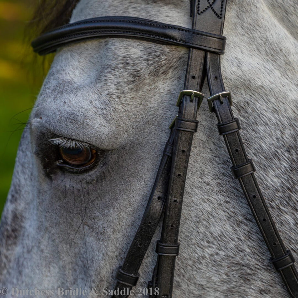 Bridles & Reins