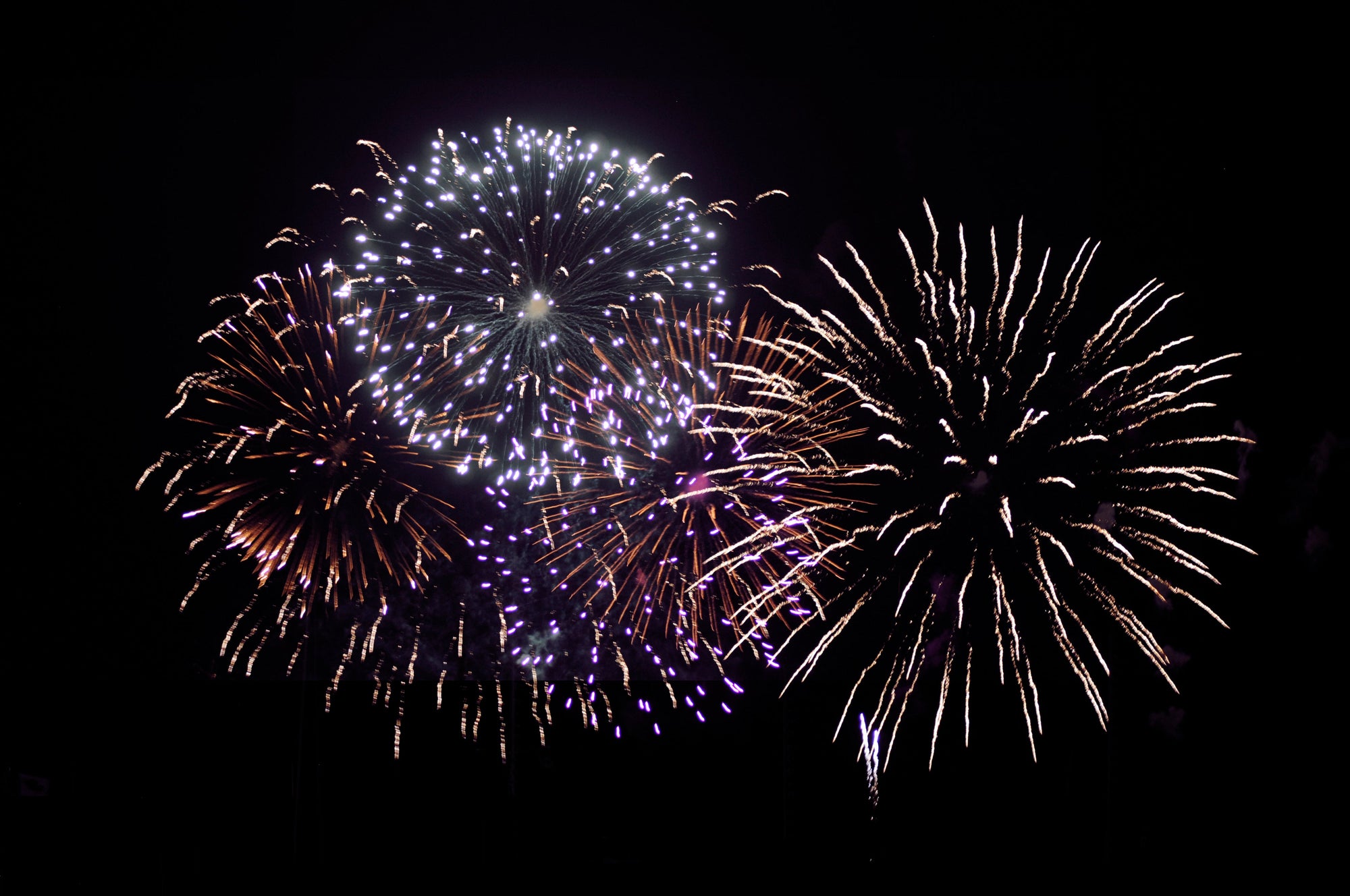 4th of July Celebration Collection