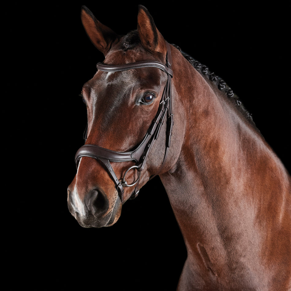 Collegiate Comfitec Vouge Anatomical Bridle