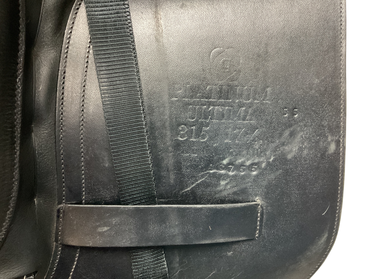 Albion Platinum Genesis Dressage 17.5 / 295cm