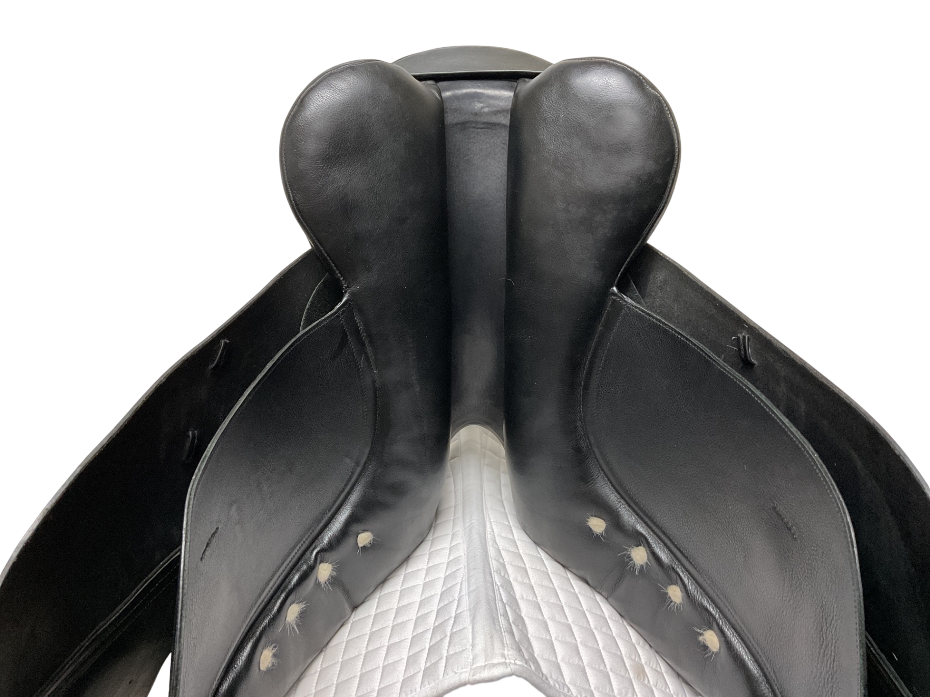 Albion Platinum Genesis Dressage 17.5 / 295cm