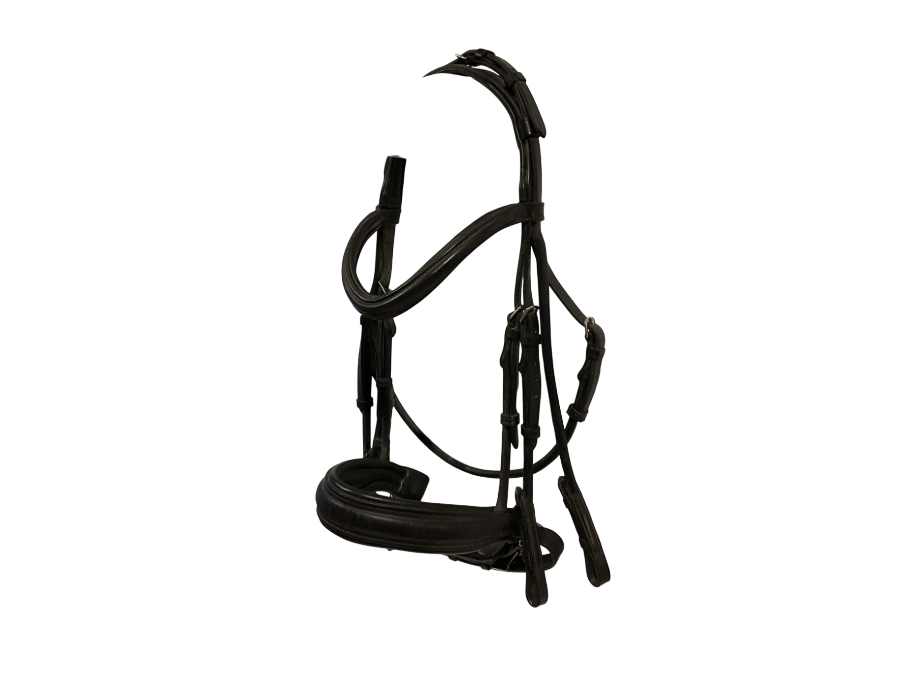Rolled Double Bridle, Full Size Black