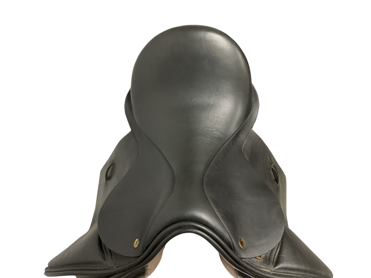 Black Country Eloquence Dressage 17 NM