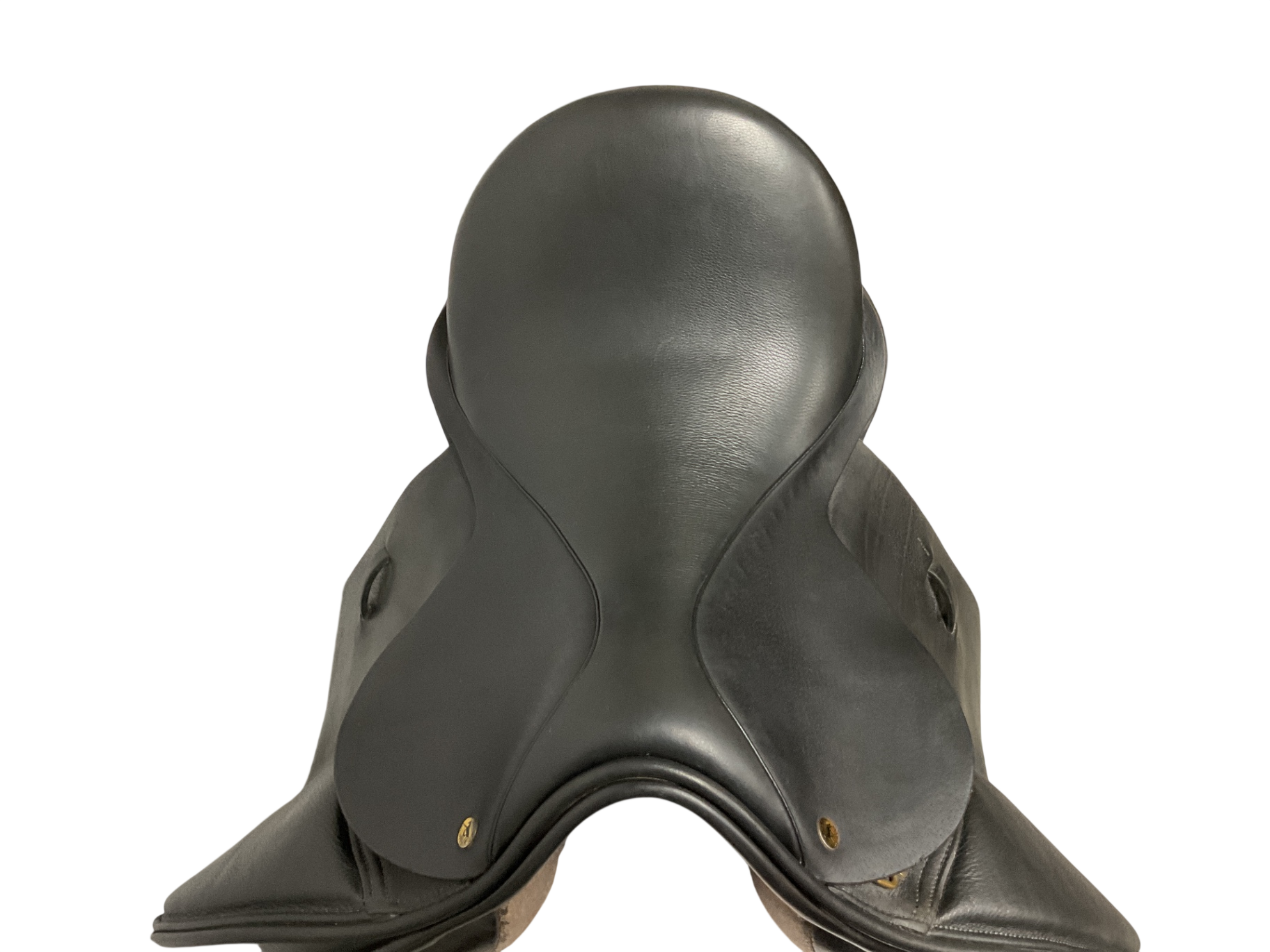 Black Country Eloquence Dressage 17 NM