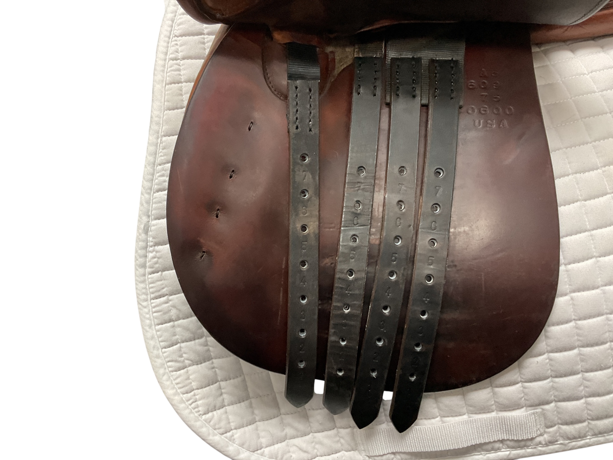 Tad Coffin Jump Saddle 17 A5