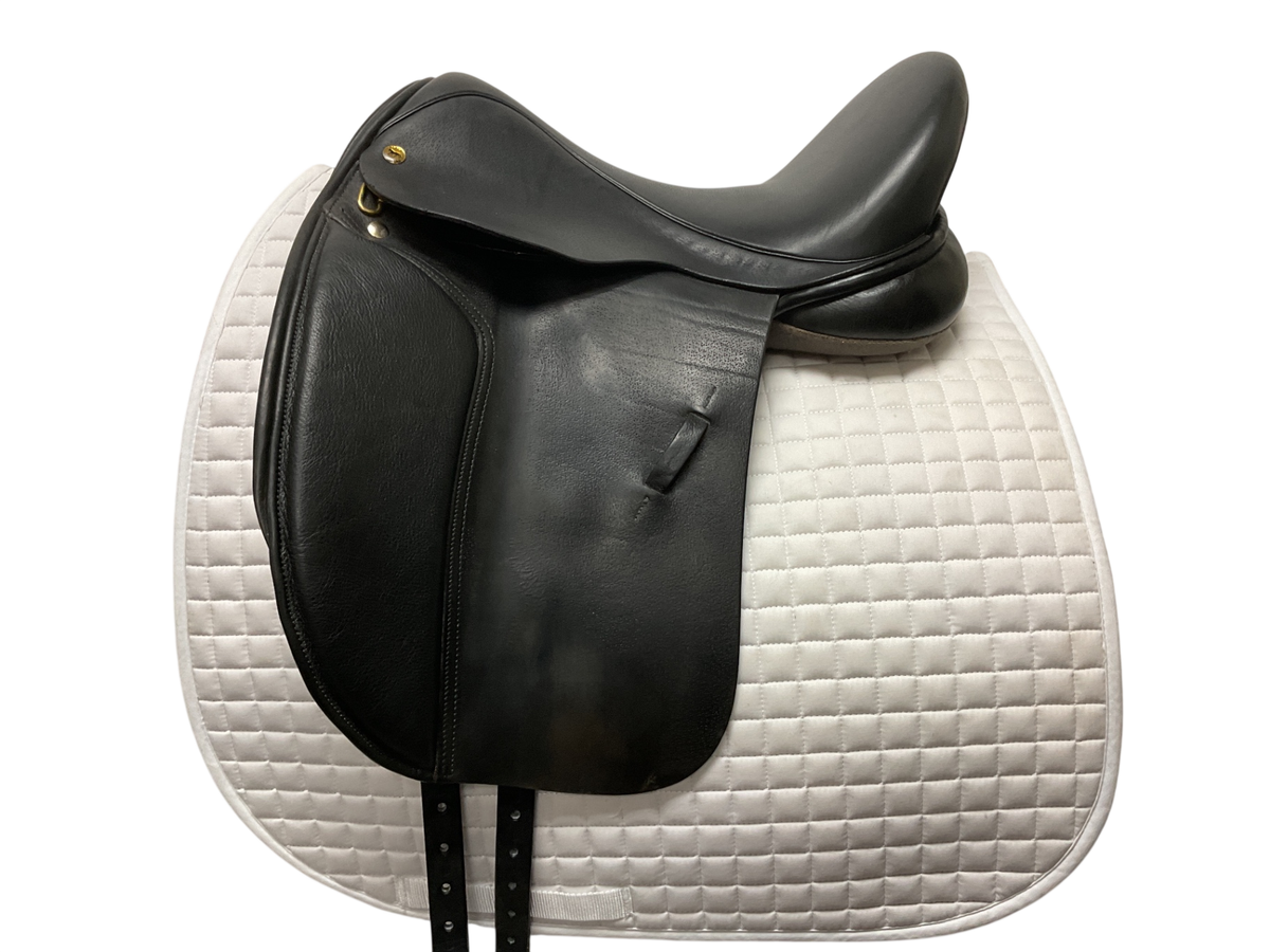 Black Country Eloquence Dressage 17 NM