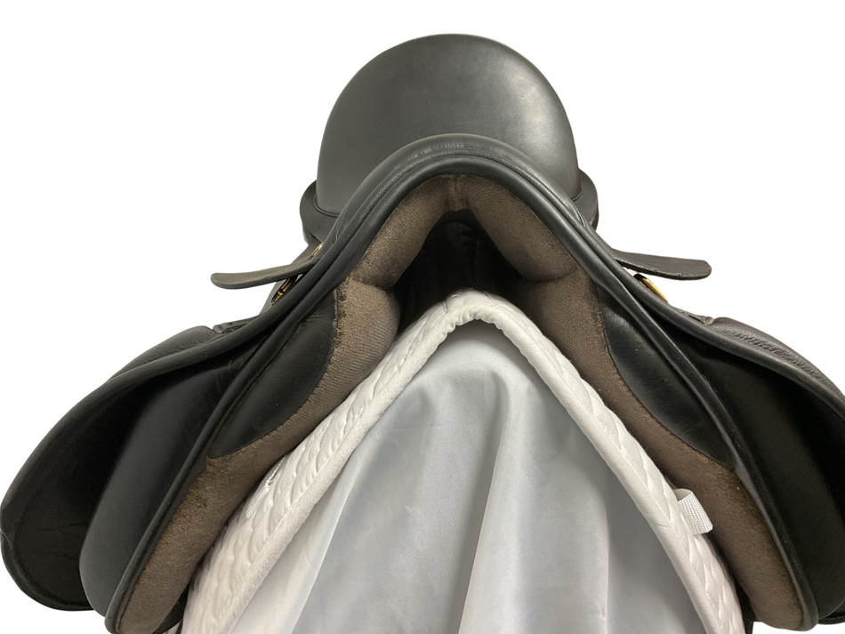 Black Country Eloquence Dressage 17 NM