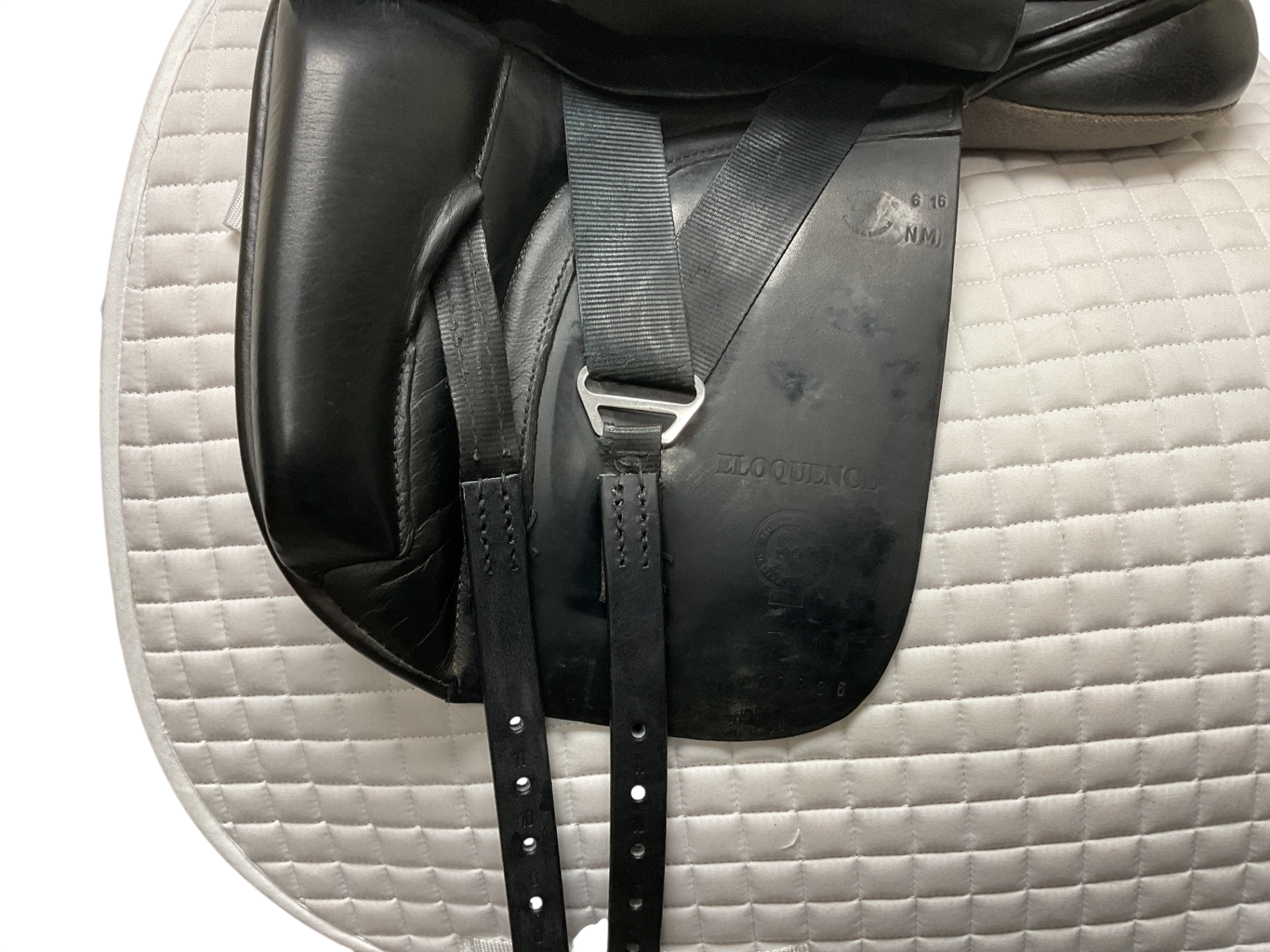 Black Country Eloquence Dressage 17 NM