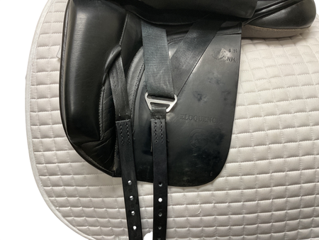 Black Country Eloquence Dressage 17 NM