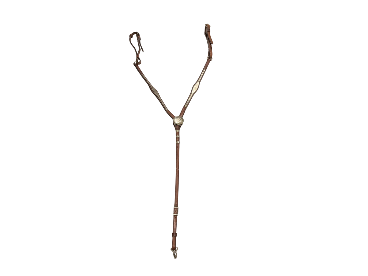 Circle Y Park & Trail Saddle with head stalls, reins & breastplate 16