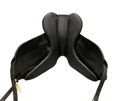 Forestier Aachen Dressage 17 MW