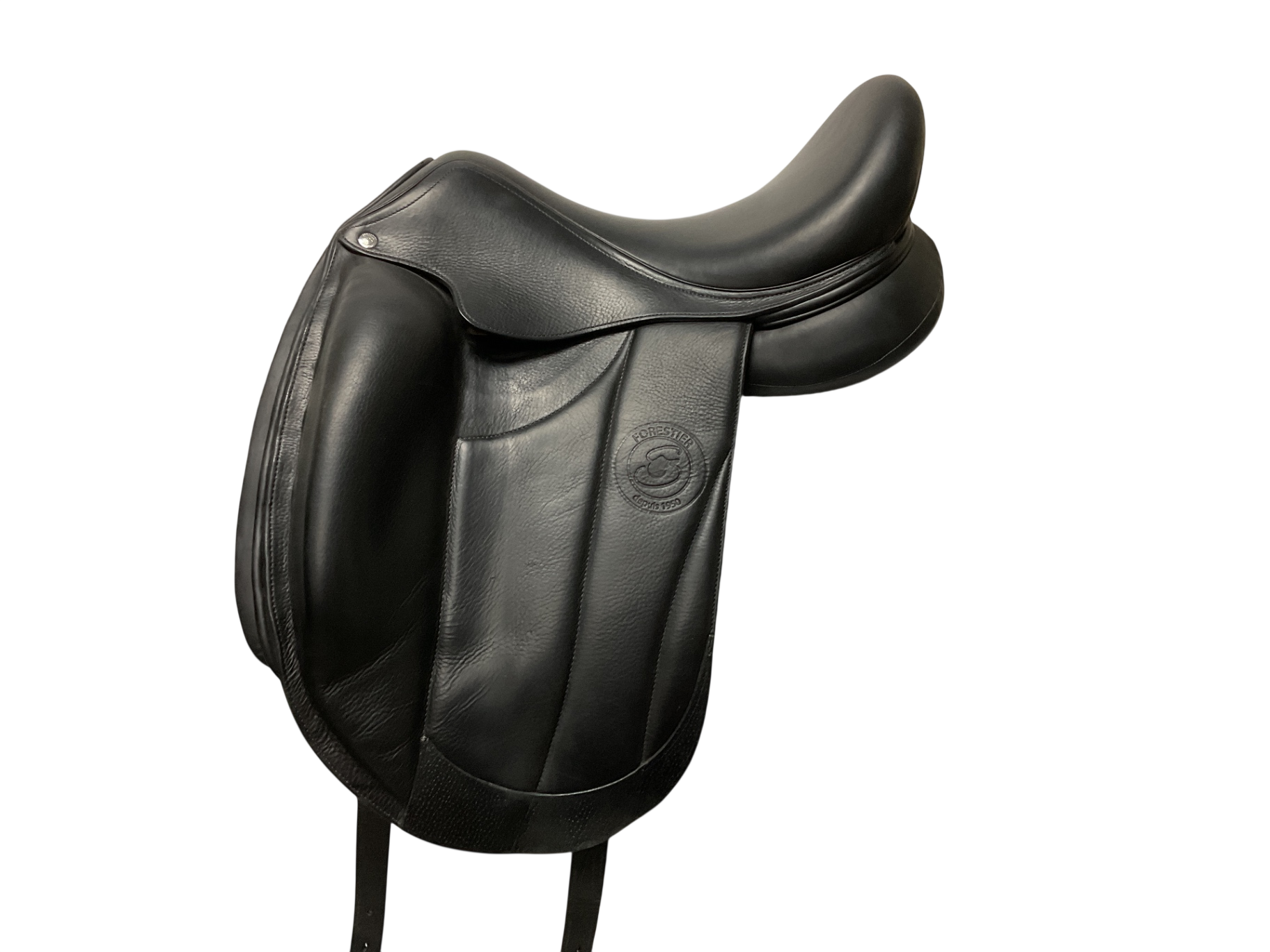 Forestier Aachen Dressage 17 MW