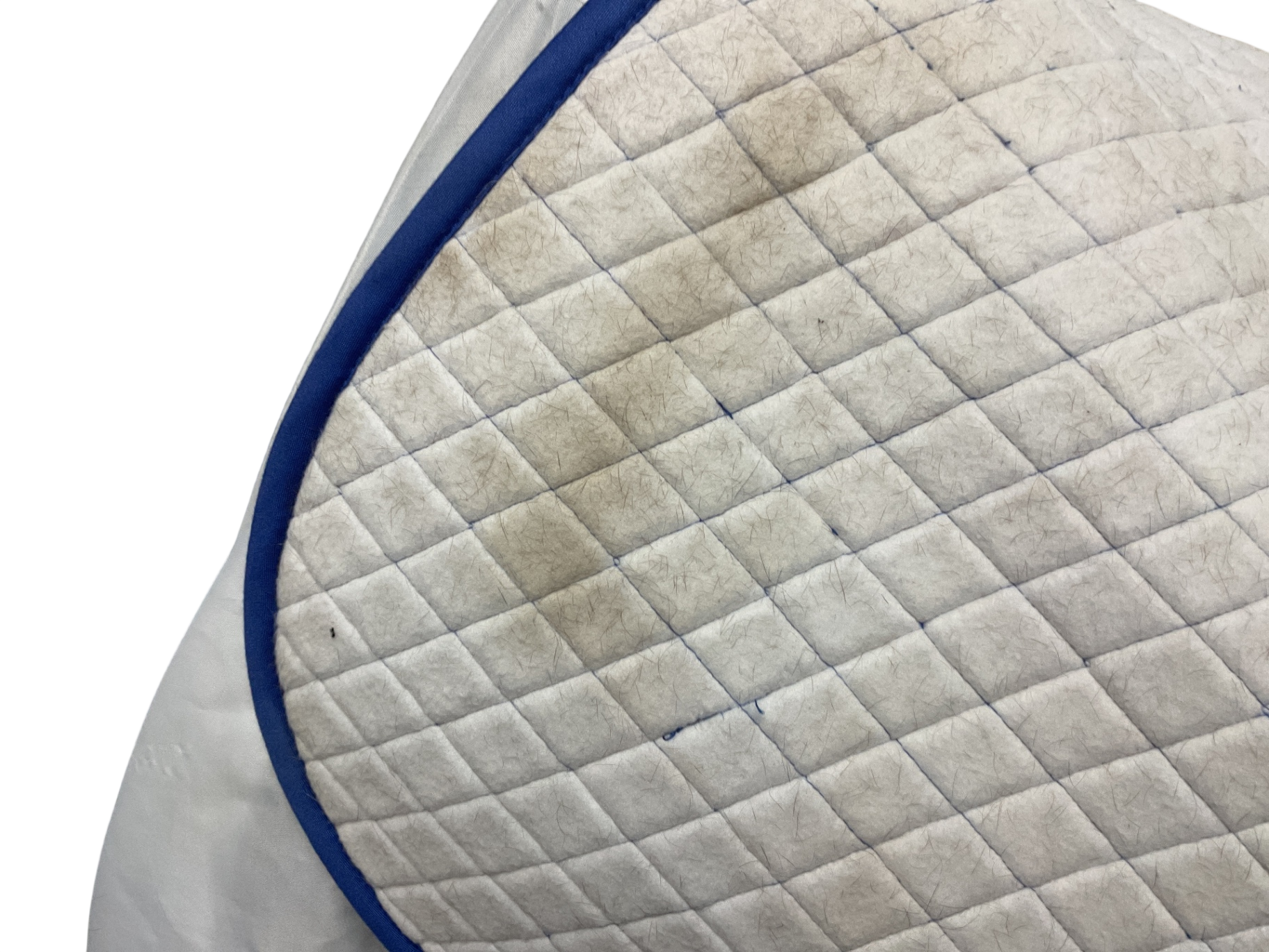 Tuff Rider Basic Pony Saddle Pad Royal Blue