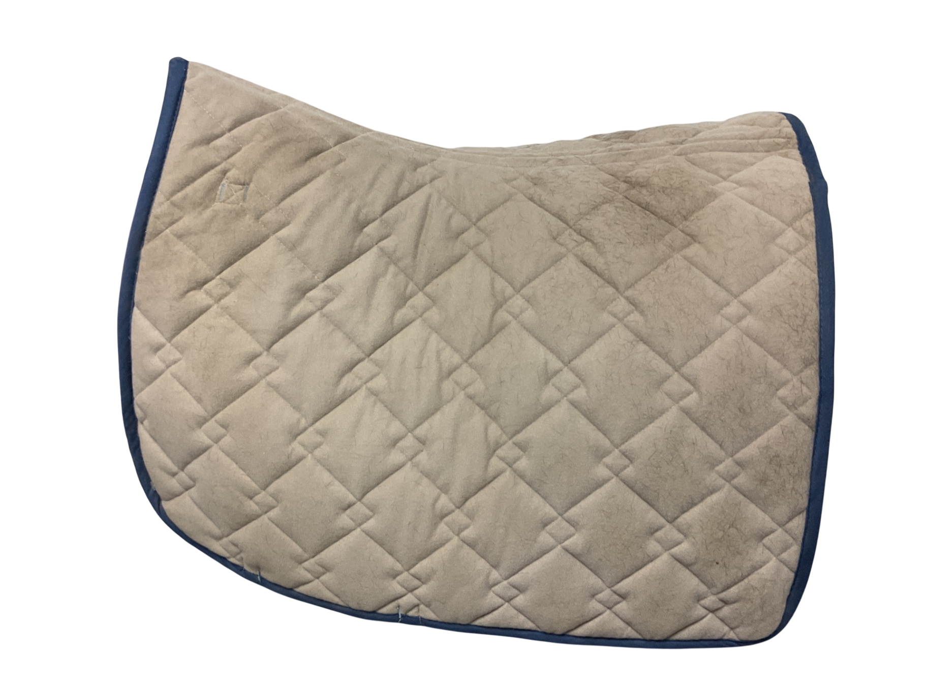 Roma Double Diamond All Pupose Saddle Pad Pad Lt Blue