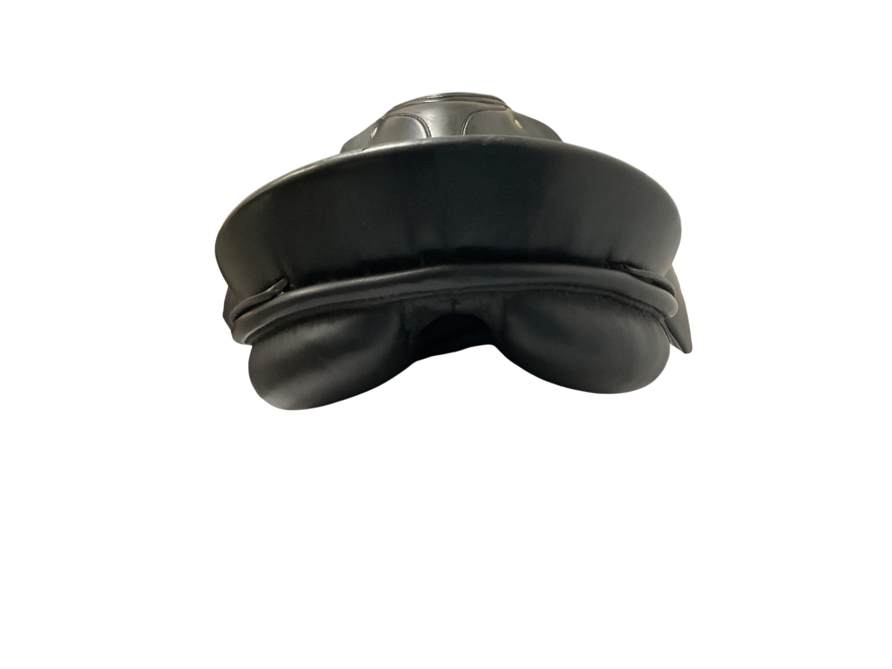 Passier Nicole Dressage Saddle 17 M