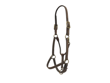 Walsh 3/4” Leather Halter COB 