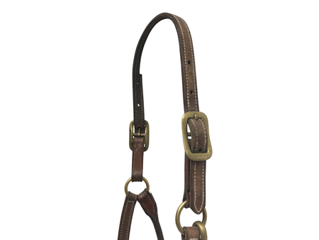 Walsh 3/4” Leather Halter COB 