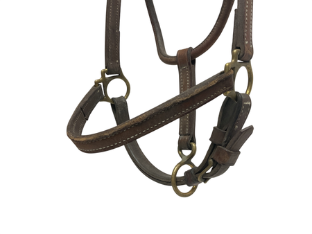 Walsh 3/4” Leather Halter COB 