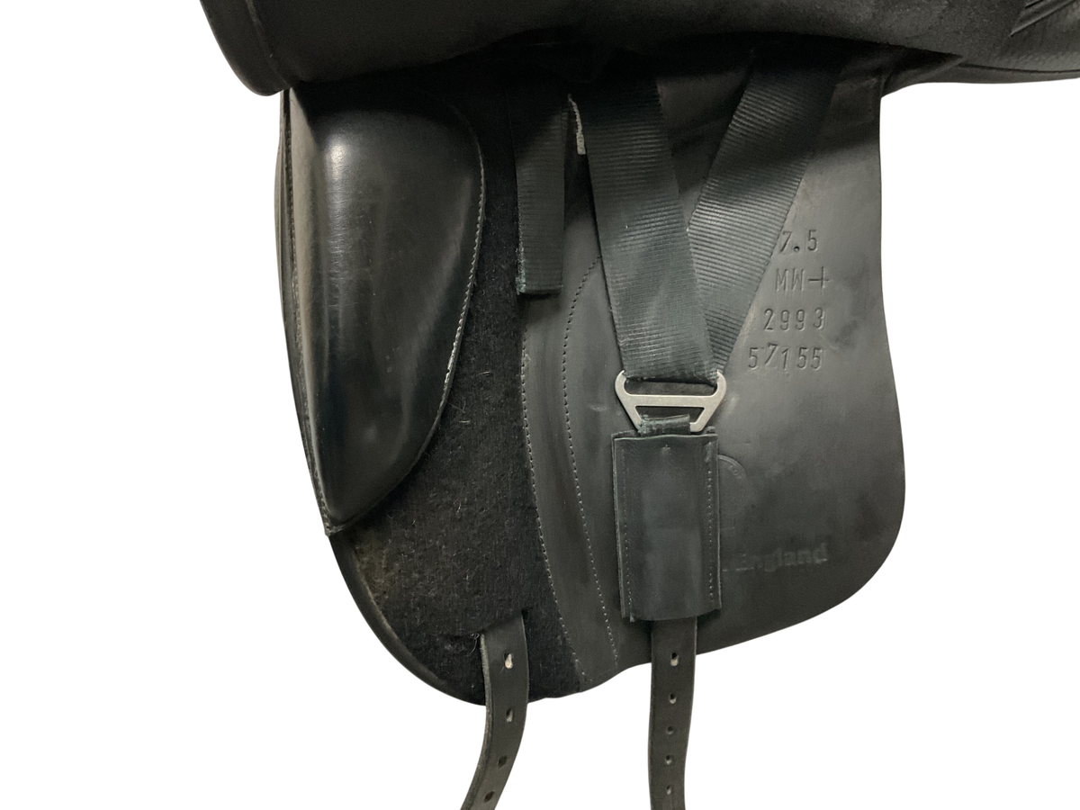 Detente 17.5" MW+ Spencer Dressage