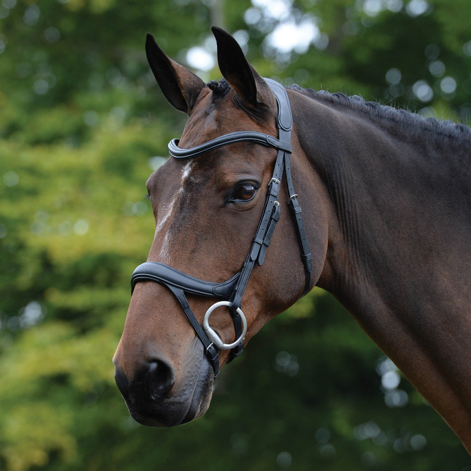 Collegiate Comfitec Vouge Anatomical Bridle