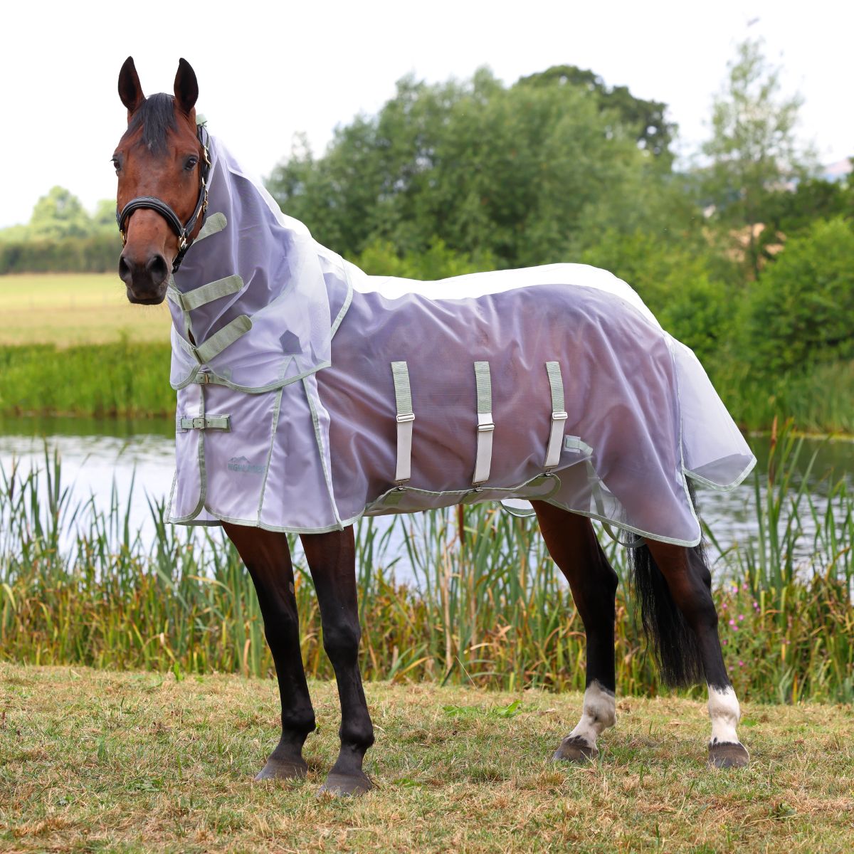 Highlander Fine Mesh Fly Sheet & Neck Set – Dutchess Bridle & Saddle