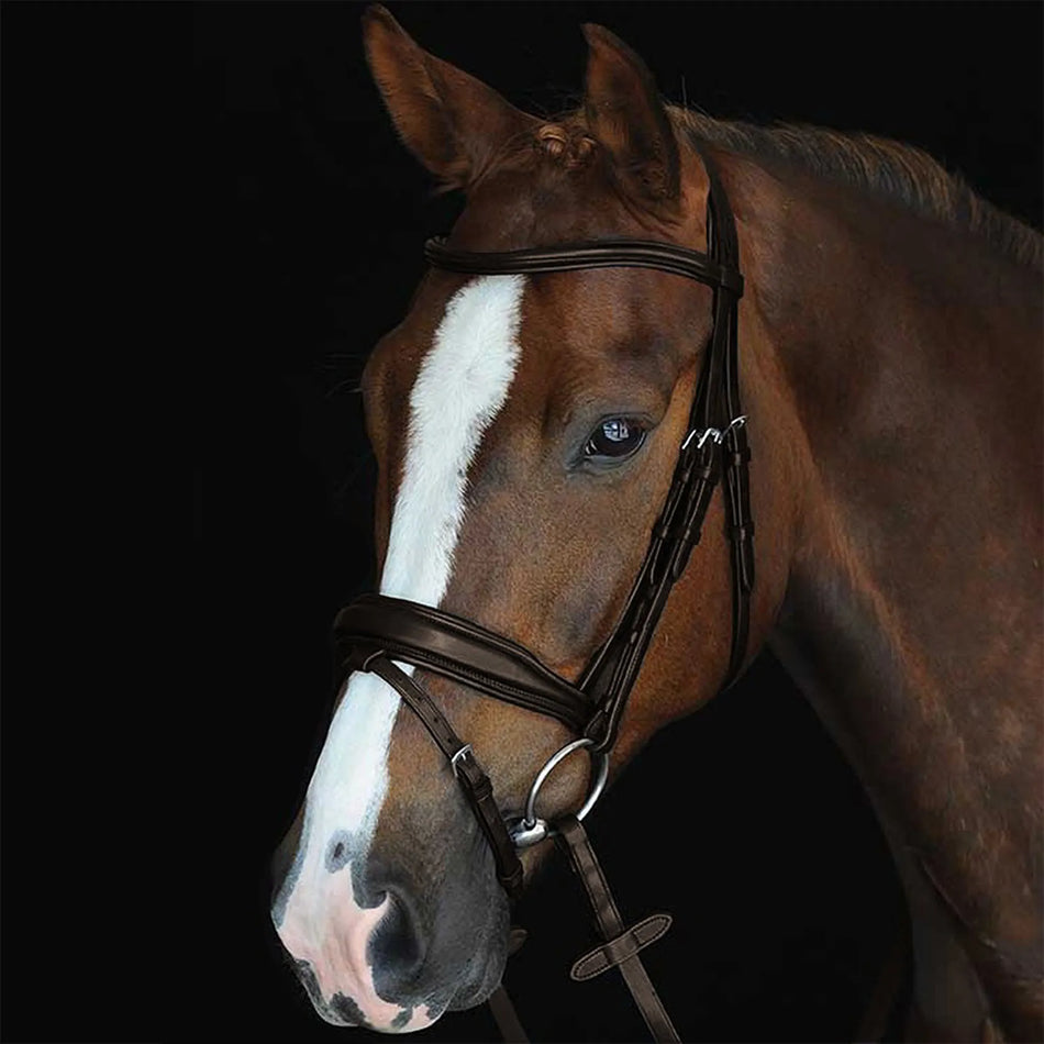 Collegiate Mono Crown Flash Dressage Bridle