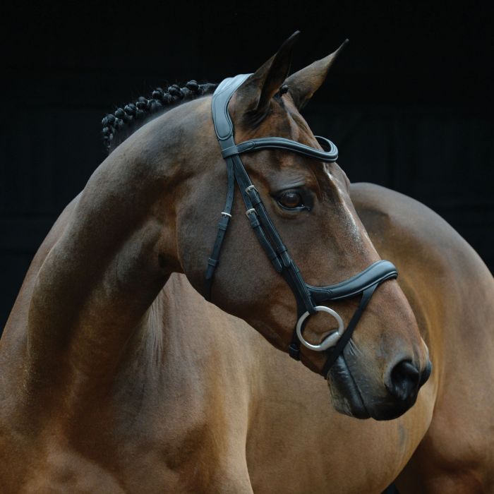 Collegiate Vogue Dressage Bridle