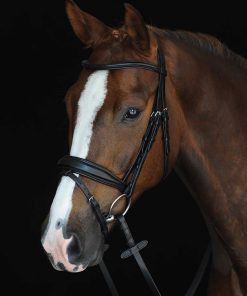 College Mono Crown Padded Raised Flash Bridle in black