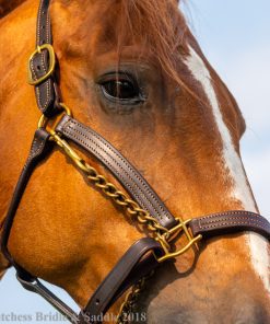 FinnTack American Quality Leather Halter on a chestnut horse