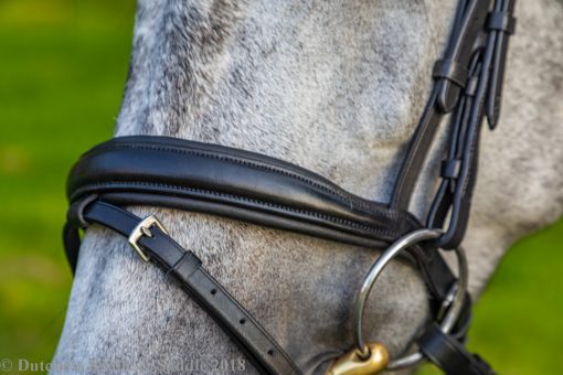 Collegiate Mono Crown Padded Raised Flash Bridle noseband detailing on a dapple gray horse
