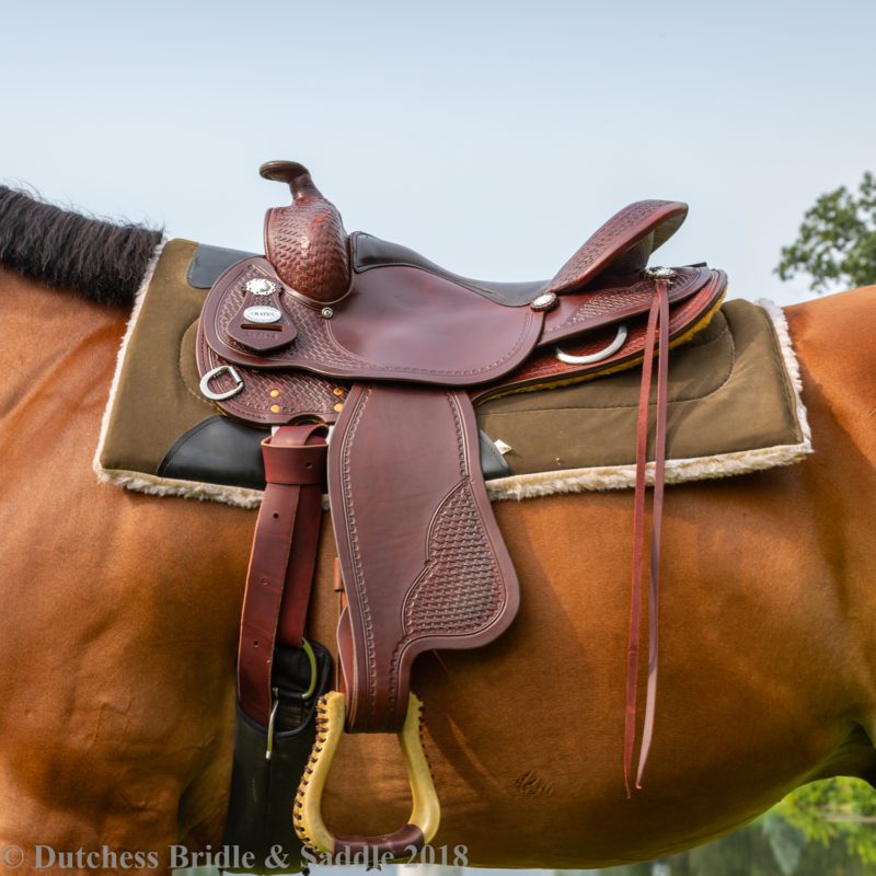 Crates Classic Trail saddle on a bay horse