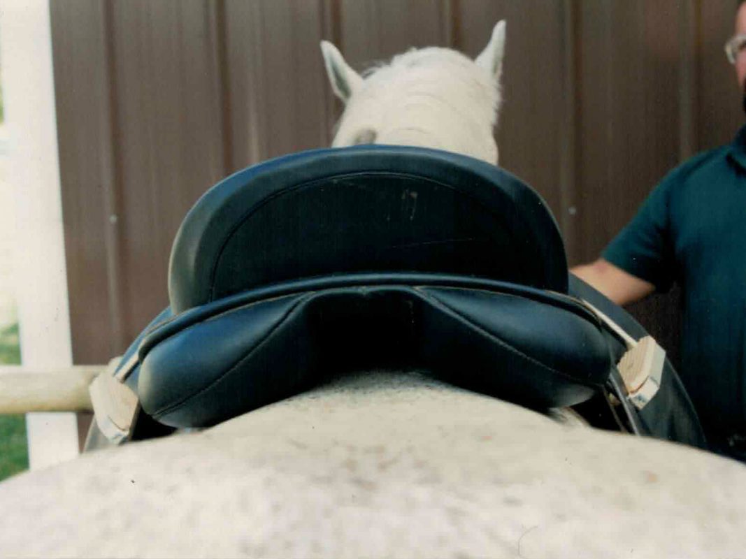 A man standing next to a horse, engaging in virtual saddle fitting.