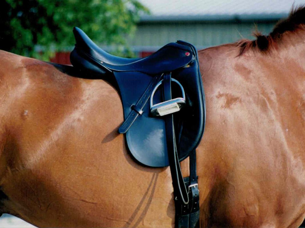 side profile with saddle