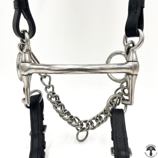 A close up of the front end of a horse bridle