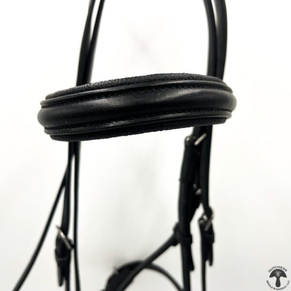 A close up of the bridle on a horse