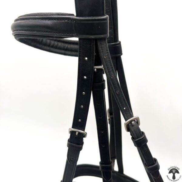 A close up of the bridle on a horse