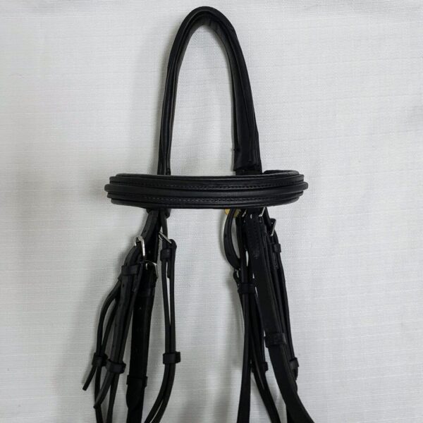 A black bridle hanging on the wall