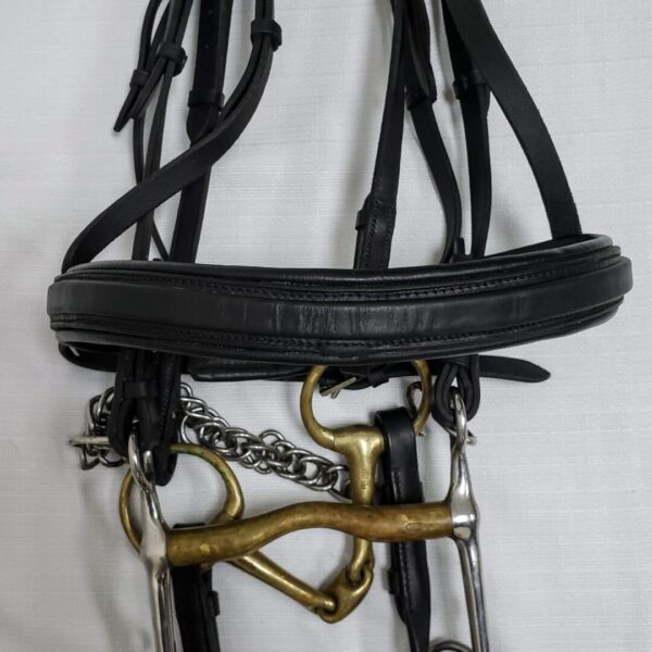 A black bridle hanging on the wall