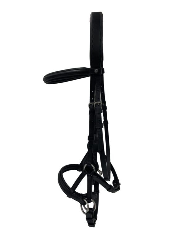 A black horse harness with a white background