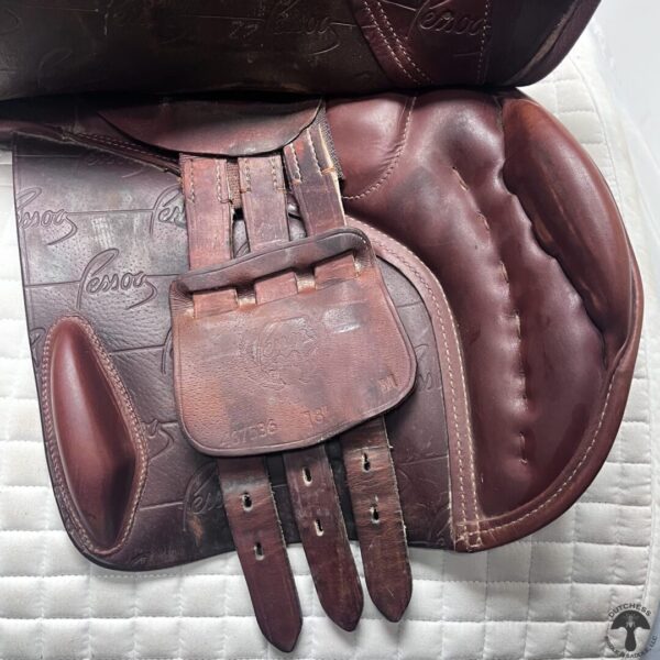 A close up of the back end of a horse saddle