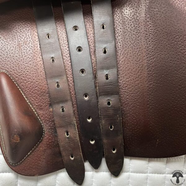 A close up of the straps on a horse saddle