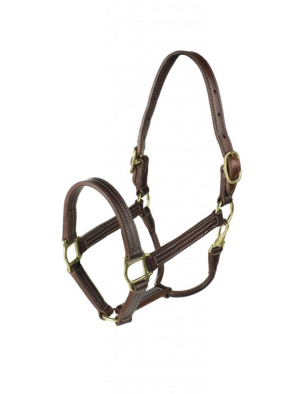 A brown leather halter with brass hardware.