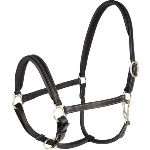 A black leather horse halter with silver hardware.