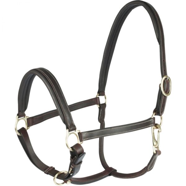 A brown leather horse halter with silver hardware.