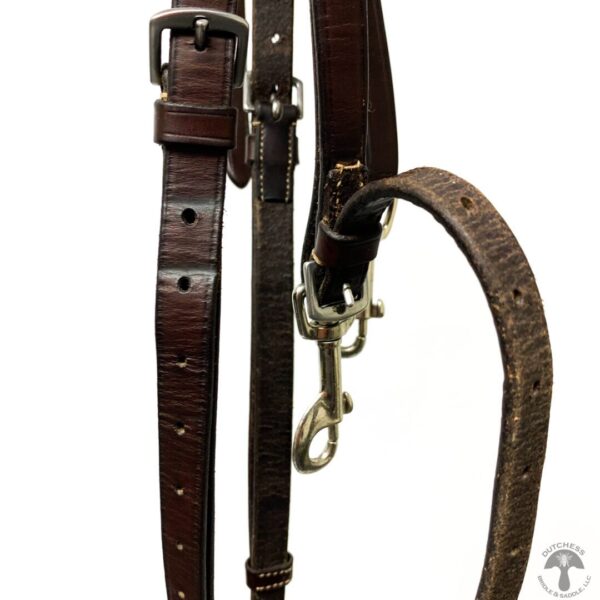 A close up of the bridle and reins