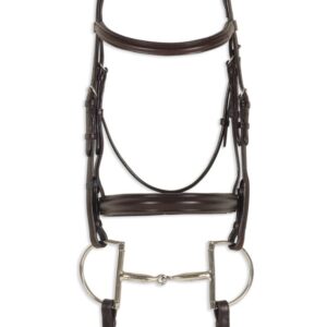 A brown bridle with silver accents on the front of it.