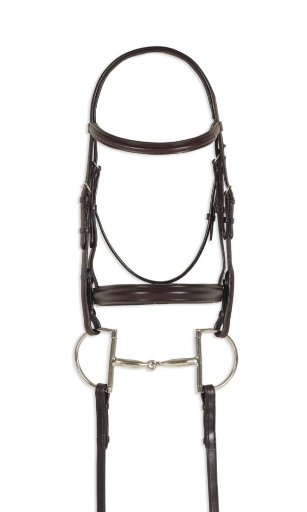 A brown bridle with silver accents on the front of it.