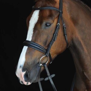 A horse with a white stripe on its head.