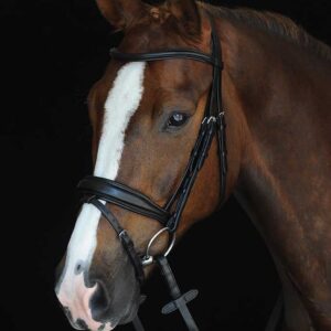 A horse with a white stripe on its head.