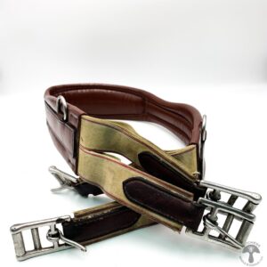 A pair of horse reins with brass buckles and leather.